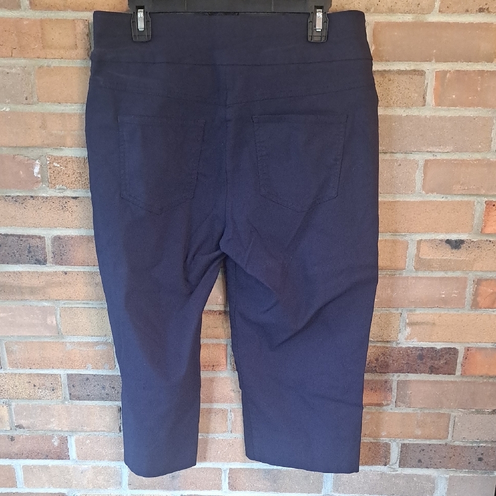 Ruby Rd. Dark Blue Cropped Pants - Picture 2 of 9